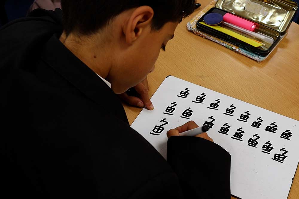 Mandarin Excellence Programme, St Austell