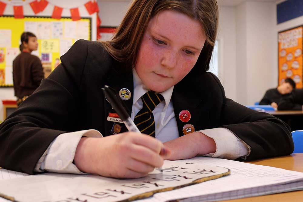 Mandarin Excellence Programme, St Austell