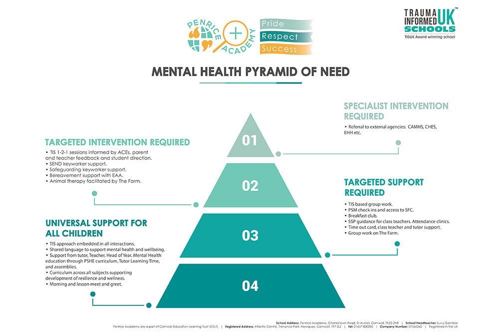 Mental Health Pyramid of Need